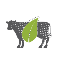 Cow with Leaf Graphic