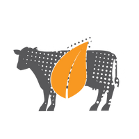 Cow with Leaf Graphic